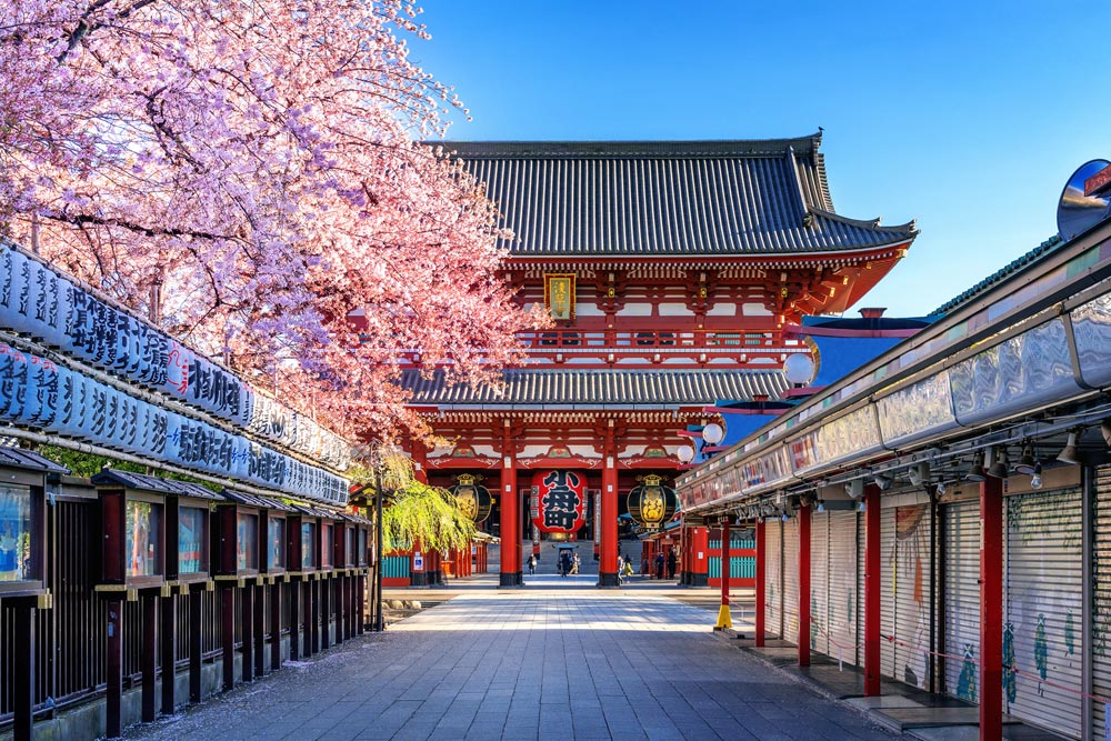 cherry-blossoms-sensoji-temple-asakusa-tokyo-japan.jpg